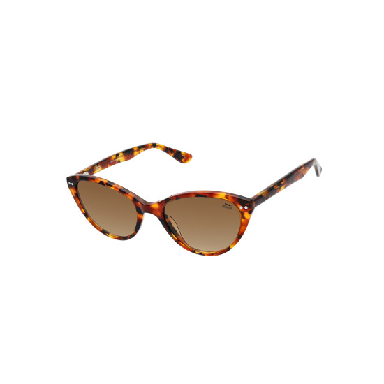 6697.C8 Bayan Güneş Gözlüğü,Bayan Gözlük